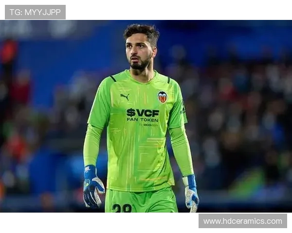 阿利松：欧冠英超等五项大赛荣誉解析